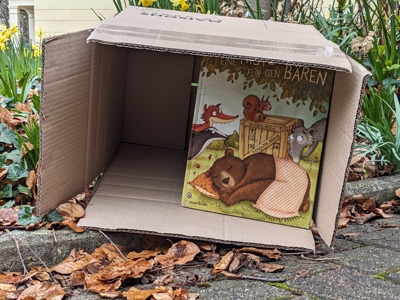 Bilderbuch mit schlafendem Bären auf dem Cover in einem Karton, der in der Natur steht.