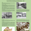 Infoplakat zur Geschichte der Rheinstraße.