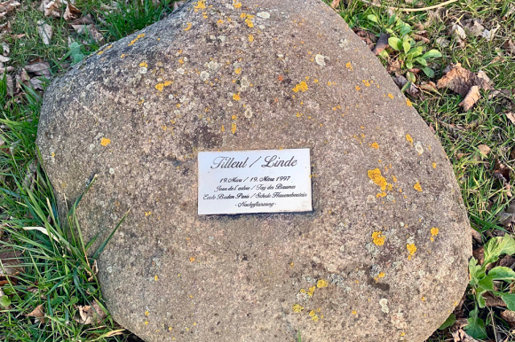 Gedenkstein mit dem Text: "Linde; 19. März 1997; Tag des Baumes; Schule Haueneberstein; Nachpflanzung". Der Text steht auch auf Französisch.