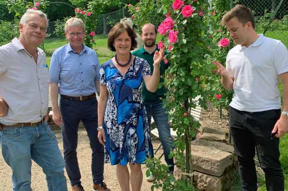 Klaus Schattling, Markus Brunsing, OB Margret Mergen, Martin Zordick und Andreas Hosch (von links) neben einem pinken Rosenbusch.