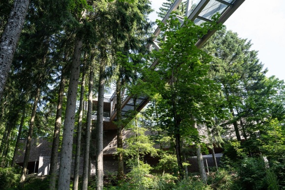 Eine Fußgängerbrücke führt von einem modernen Gebäude in den Wald.