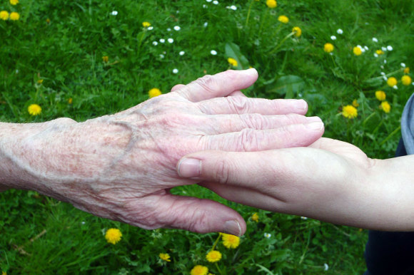 Eine Kinderhand hält eine Hand eines älteren Menschen.