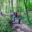 Kinder und Erwachsene laufen durch den Wald.