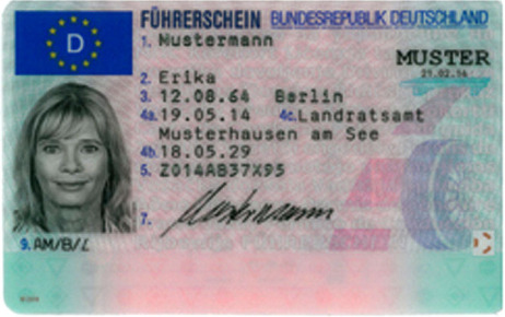 Muster eines Eu-Führerscheins