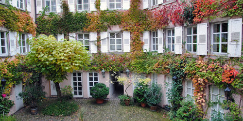 Innenhof der Baldreit-Wohnung mit Blumentöpfen und rötlicher Färbung der Blätter.