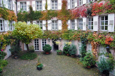 Innenhof der Baldreit-Wohnung mit Blumentöpfen und rötlicher Färbung der Blätter.