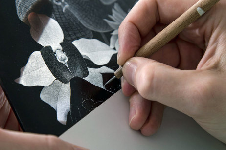Arbeit von Thilo Westermann: Aus schwarz grundierten Glasplatten ritzt er barock anmutende Blumenstilleben.