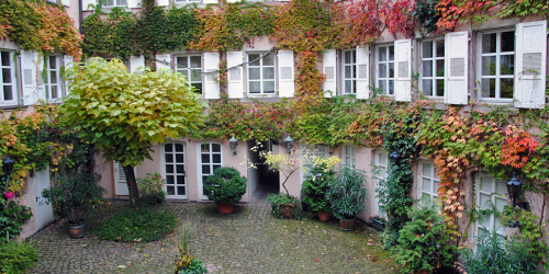 Innenhof der Baldreit-Wohnung mit Blumentöpfen und rötlicher Färbung der Blätter.