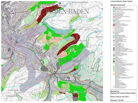 Verkleinerte Darstellung des Landschaftsplans Baden-Baden