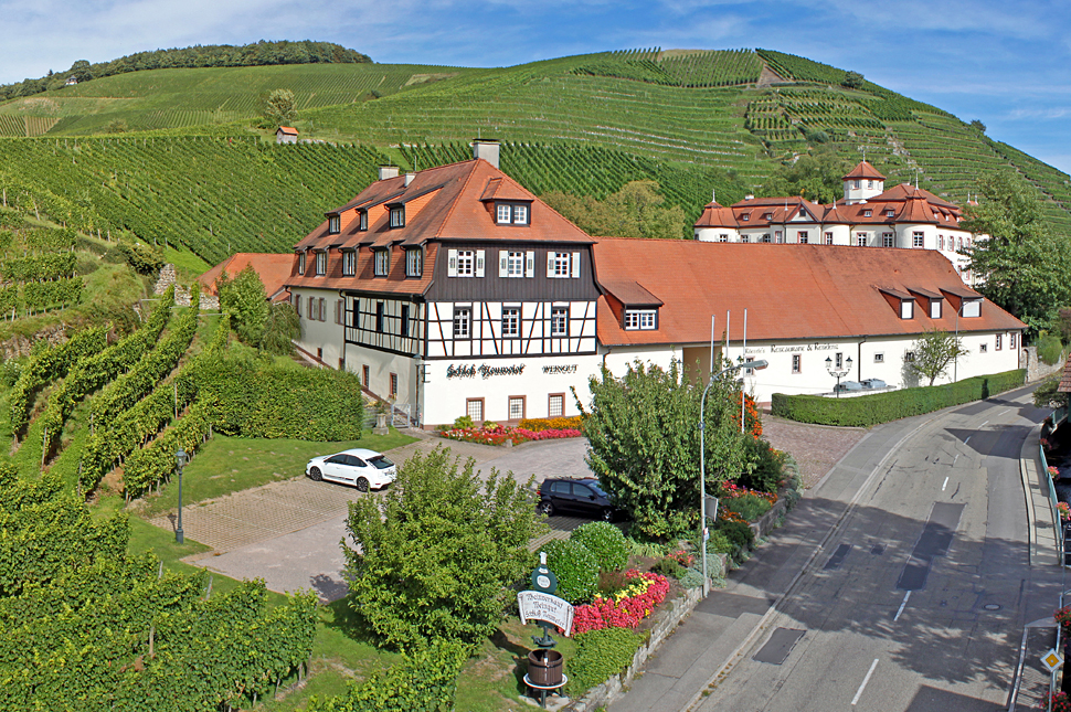 Schloss Neuweier mit Reben im Hintergrund