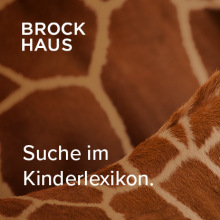 anner für das Brockhaus Kinderlexikon. Es zeigt das Muster einer Giraffe.