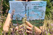 Person liegt bäuchlings lesend auf einer Wiese. Ansicht von vorne mit Cover.
