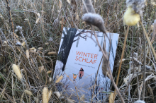 Das Kinderbuch "Winterschlaf" steht im winterlichen Gestrüpp