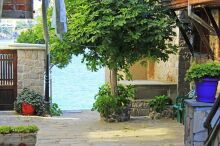 Blick auf einen mediterranen Innenhof mit Feigenbaum, dahinter das Meer.