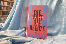 Ein Buch steht vor einem drapiertem Tuch. Im Hintergrund sind Buchregale erkennbar.