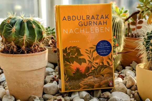 Buch mit abgebildeten Pflanzen auf dem Cover steht inmitten eines Kakteengartens.
