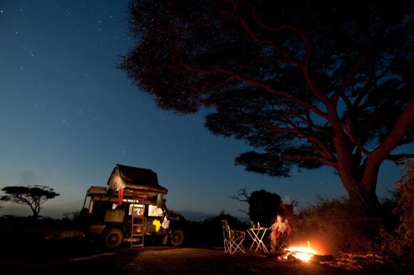 Campingbus und Lagerfeuer unter einem Baum und Sternenhimmel.