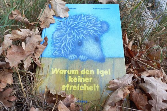 Arrangement: Kinderbuch über einen Igel liegt im Laub.