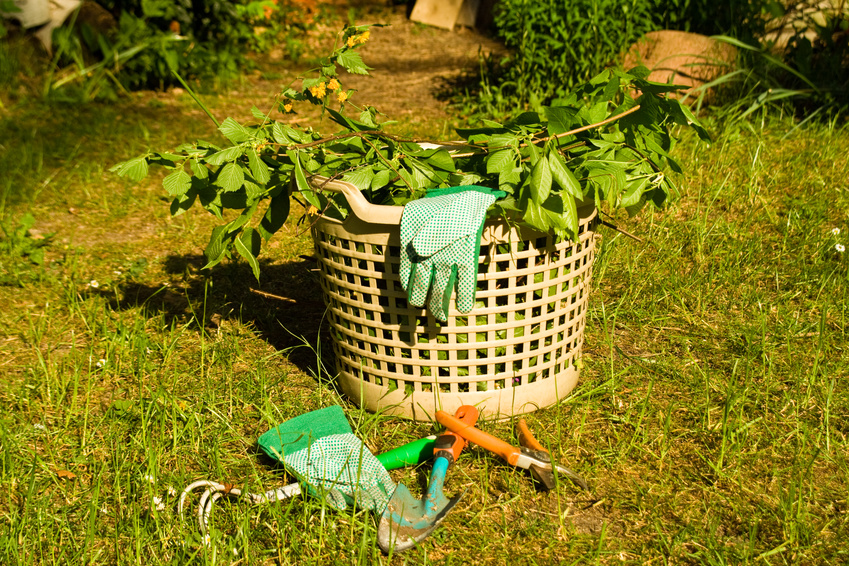 Eimer mit abgeschnittenen Ästen, Handschuhen und Gartenwerkzeug