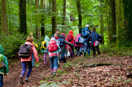 Kinder laufen durch den Wald