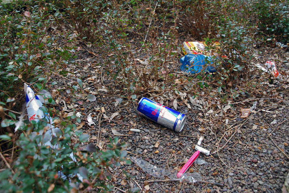 Red Bull, Rasierer und Flaschen zwischen pflanzen
