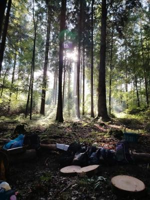 Rucksäcke liegen auf dem Waldboden. 