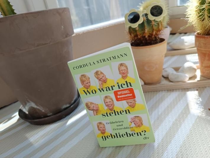 Buch mit lustigen Grimassen einer Frau auf dem Cover steht in einem Kakteenfenster.