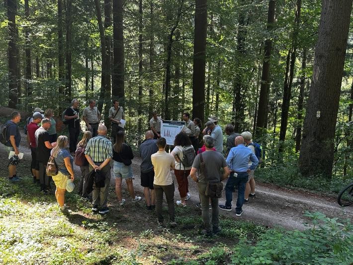 Die Teilnehmenden der Waldbereisung stehen im Wald.